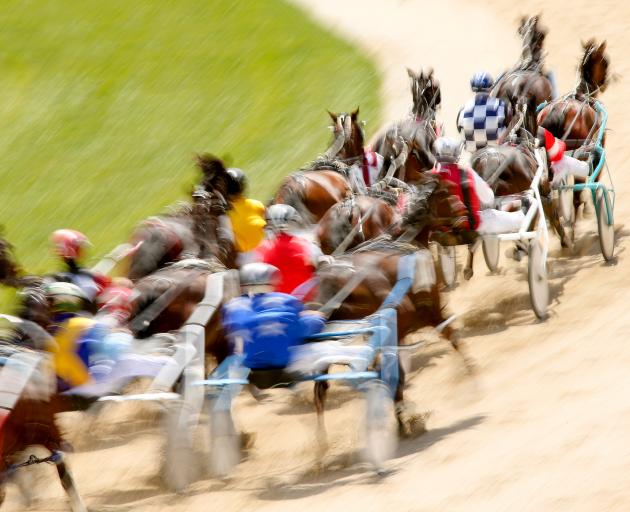 Two horse trainers are facing assault allegations. Photo by Martin Hunter/Getty Images)