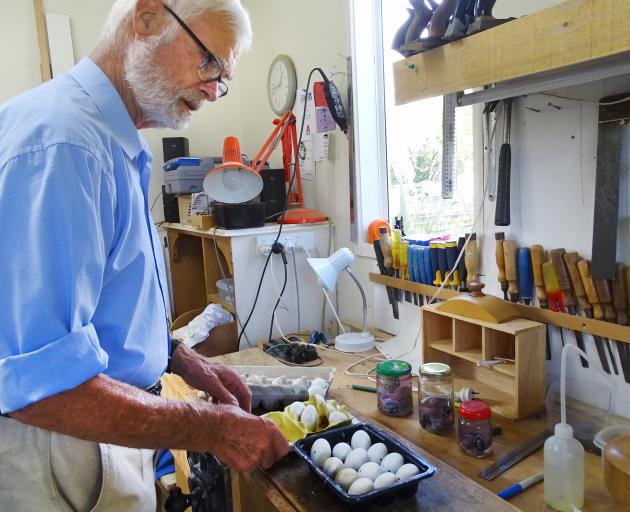 Retired zoologist and Lake Wanaka marina grebes project founder John Darby with the eggs that did...