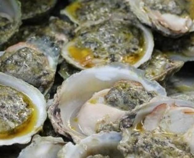The Bonamia ostreae parasite infects flat oysters, such as the Bluff oyster, causing illness and...