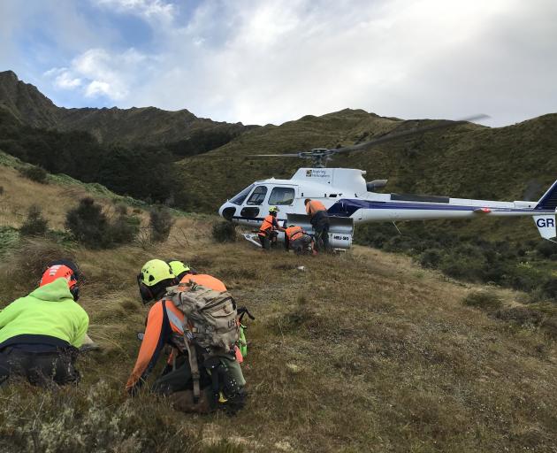 Wilding tree removal contractors are dropped off for a day's work near Eichardt's Flat, Arrowtown...