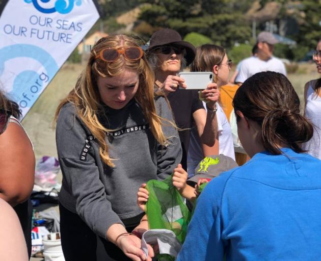 Volunteers cleaning up Sumner beach. Photo: Our Seas Our Future