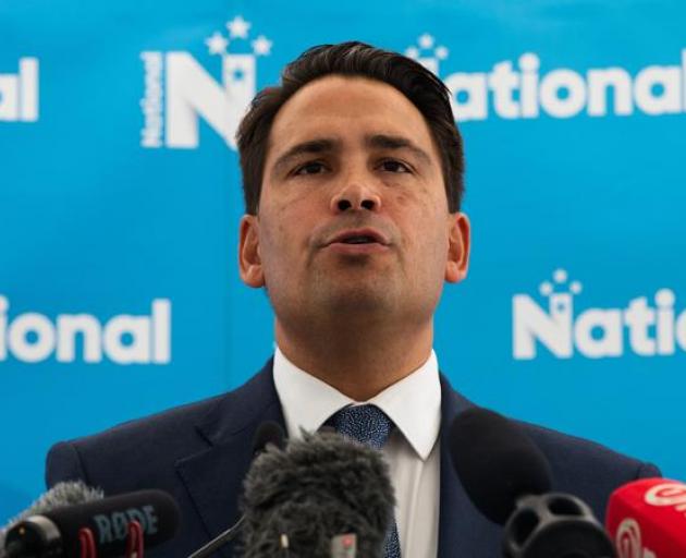 Simon Bridges laying out the economic priorities for National. Photo: RNZ/Dan Cook