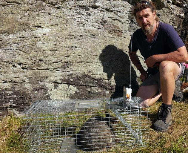 Forest & Bird volunteer Billy Stephen Barton beside a feral cat caught in a satellite-monitored...