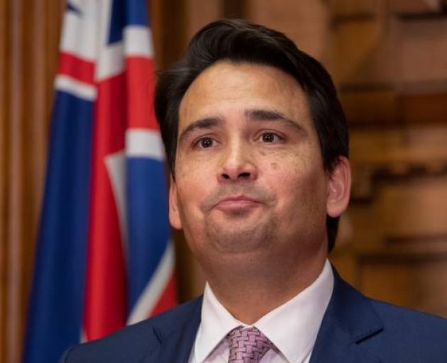Simon Bridges is no longer in charge and is reflecting on matters closer to home. Photo: NZ Herald 