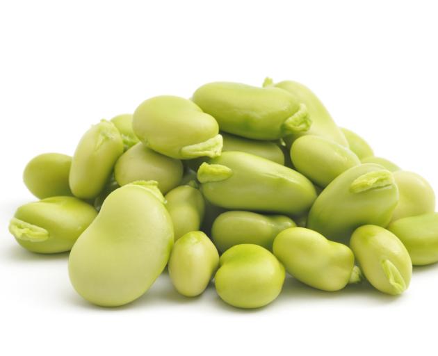 Broad beans, renowned for their hardiness, are a favourite vegetable with many southern gardeners...