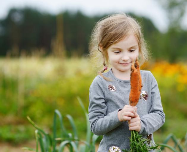 Many have rediscovered gardening of late. PHOTO: GETTY IMAGES