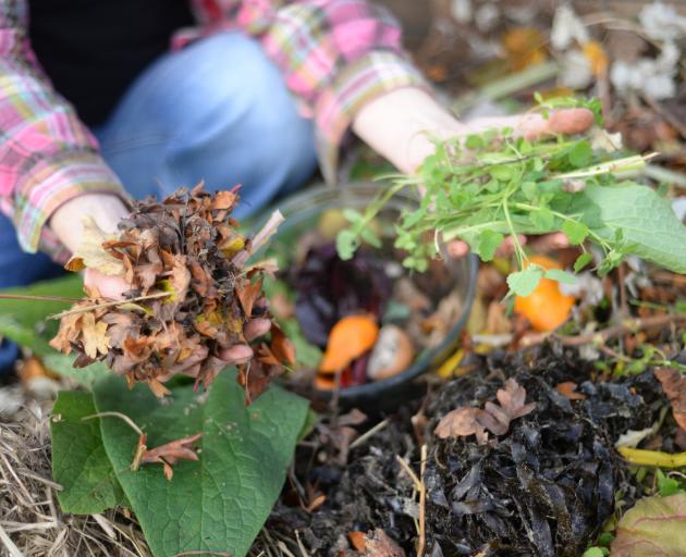 The two types of compost waste; brown carbon-rich leaves, and green nitrogen-rich weedings....
