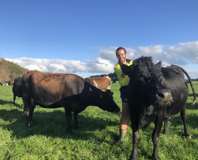 Best workmates... Jakeb Lawson enjoys working as a farm assistant on a Woodlands dairy farm and...