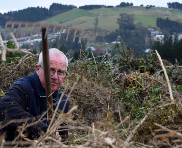 Ron McDonnell rakes hedge clippings from his trailer at Green Waste in Burnside on the first day of Alert Level 2 last week. PHOTO: SHAWN MCAVINUE