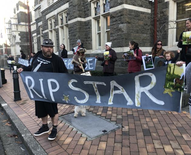 About 20 protesters gathered outside Dunedin District Court ahead of the sentencing. Photo: Tim...