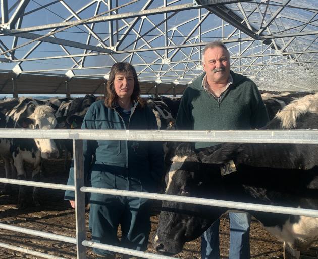 Clydevale dairy farmers Judith and Stephen Ray were delighted Raymac Justice Esonny EX, aka The...