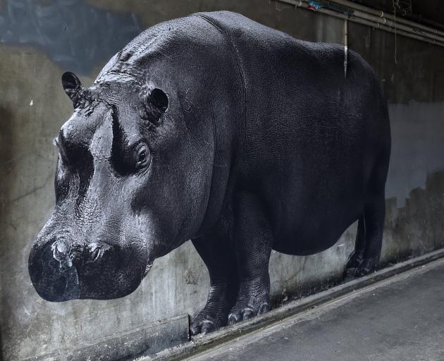 Dunedin Dlights Otago Daily Times Online News