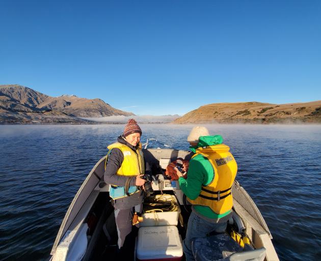 Back in the field and on the water ... University of Otago intern Kari-Anne van der Zon and...