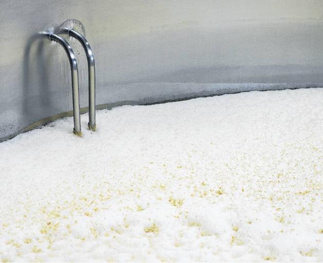 Beer fermenting in a stainless steel container in a brewery. Photo: Getty images 
