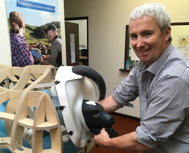 Agri Training training adviser Warner Cottrell shows the right technique helping Matilda during...