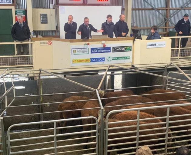 PGG Wrightson stock agent Rod Sands, centre with microphone, in his auctioneering role.PHOTO:...