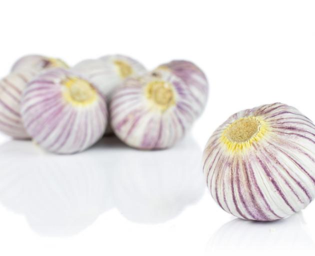 Single-clove garlic is often sold as Himalayan single clove, snow, pearl or Kashmiri garlic....