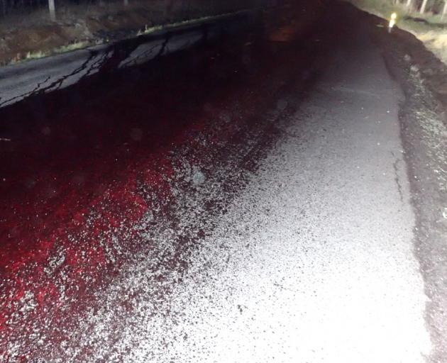 A gory scene of the blood-coated Townleys Road after the offal spill. Photo: Supplied
