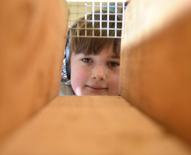 Ernest Billot (8) takes a closer look at a wooden trap being made at the weekend. PHOTO: GREGOR...