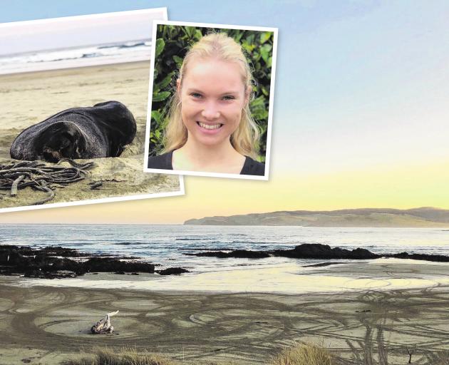 Sea Society founder Sian Mair, of Invercargill, is petitioning to ban vehicles from Catlins...