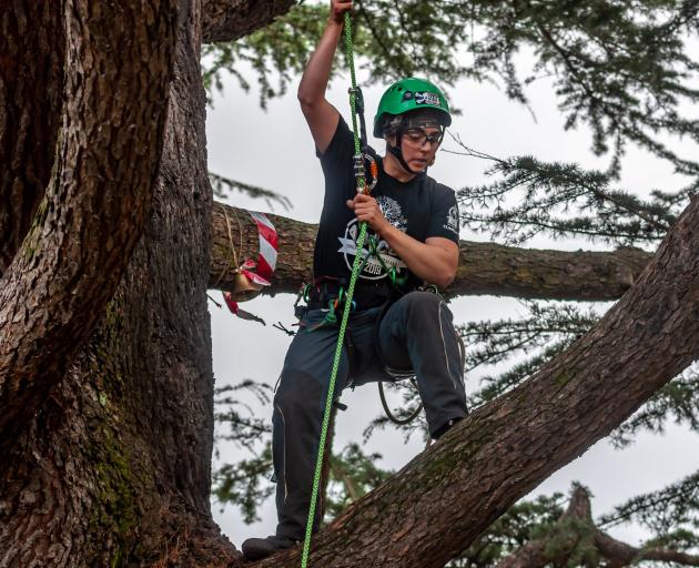 Competitive climbers are coming to the Ashburton Domain next month. Photo: Richard Tregoweth.