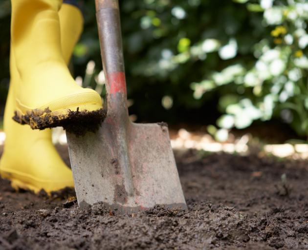 Do not dig wet soils as they become concrete-like when they dry out. PHOTO: GETTY IMAGES