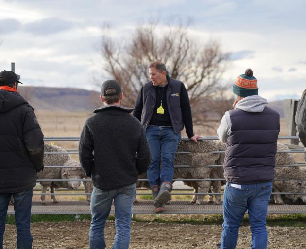 Mark Ferguson, of Nextgen Agri, talks about condition scoring.
