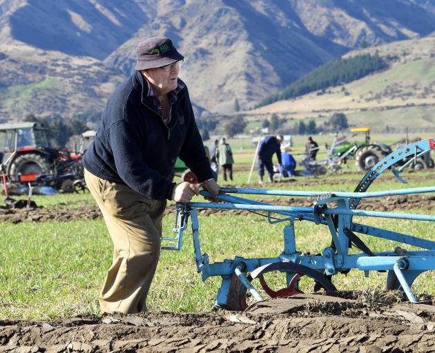Tom Fowler (86), of Tapanui, uses a plough manufactured by his family some time between 1870 and...