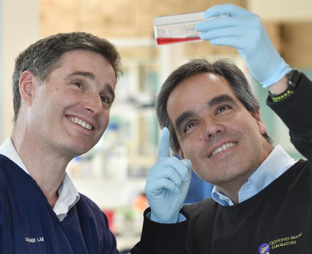 James Ussher (left) and Miguel Quinones-Mateu at a University of Otago microbiology and...