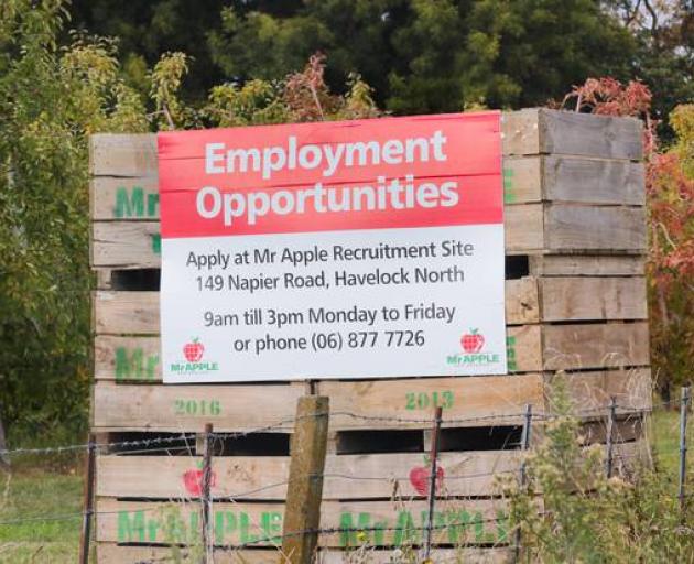 Looking for workers in lockdown in April. Photo: NZ Herald 