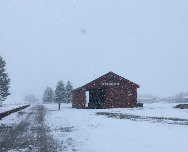 A thick layer of snow blankets Omakau on the first day of spring, reminding us winter is not quite over despite it being what is meant to be the first day of spring. PHOTO: ALEXIA JOHNSTON