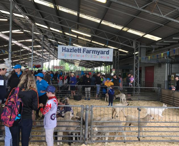 Hazlett Livestock junior livestock representatives help out in the Hazlett Farmyard at last year...
