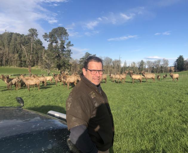 Raincliff Station deer farmer David Morgan has been vocal about his concern for the venison...