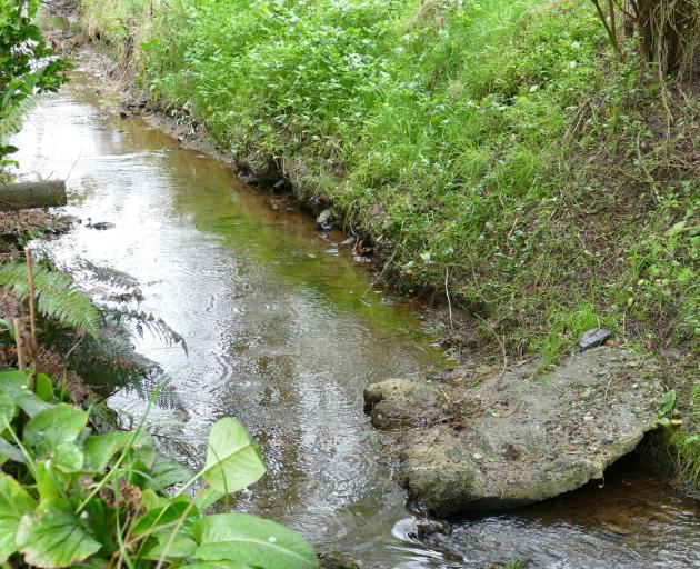 This concrete block was among debris washed down Hospital Creek during a severe flood in July...