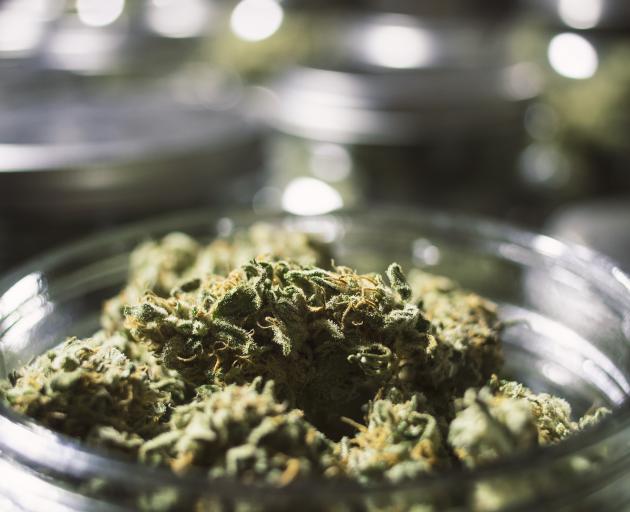 cannabis-istock.jpg