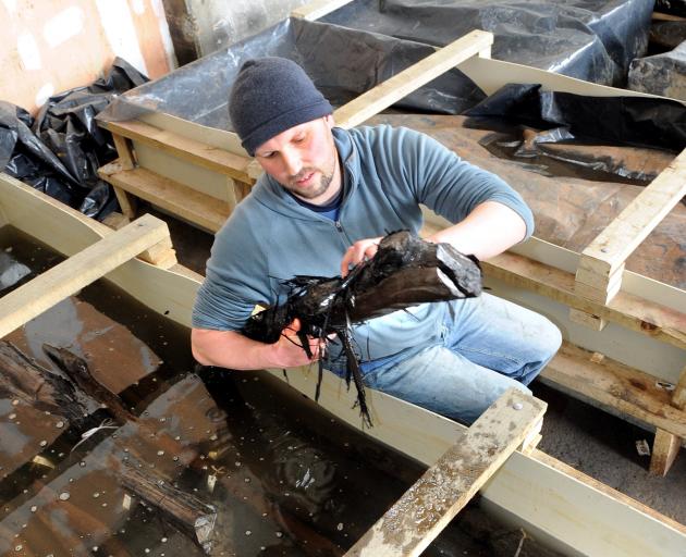 Archaeologist Jason Gay checks timber from the Wall Street causeway which was undergoing...