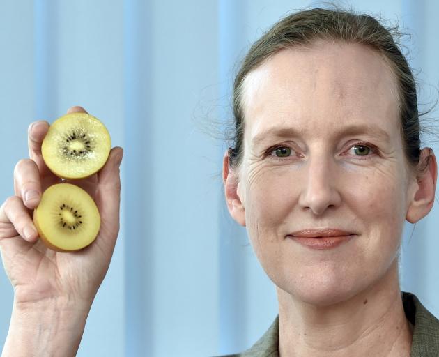 Associate Prof Tamlin Conner has found health benefits in kiwifruit. PHOTO: GREGOR RICHARDSON