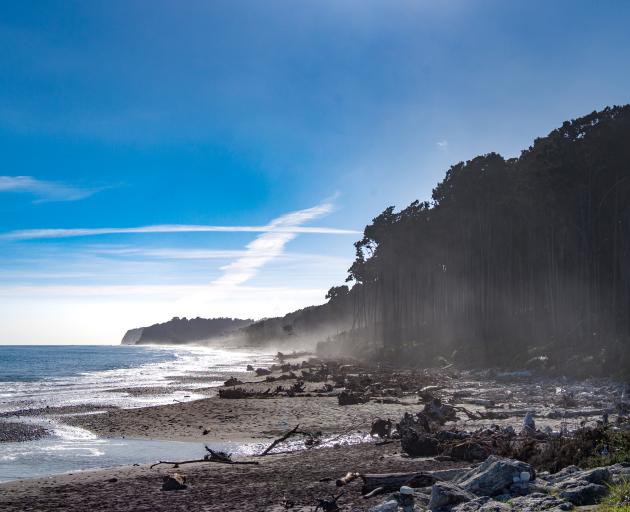 Mahitahi (Bruce Bay) on the West Coast. Photo: Getty Images