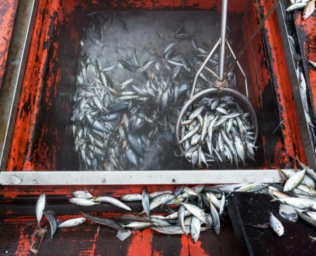 Russian and Ukranian seamen are set to land in Christchurch to kick start the deep sea fishing...