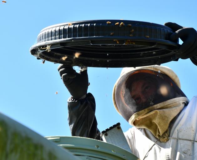 Southland Bee Society chairman Geoff Scott was called out to a swarm (below) that took over a...