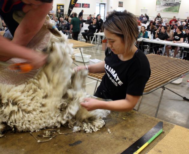 Chelsea Collier, of Gore, competes in the woolhandling event at the Waimate Shears earlier this...