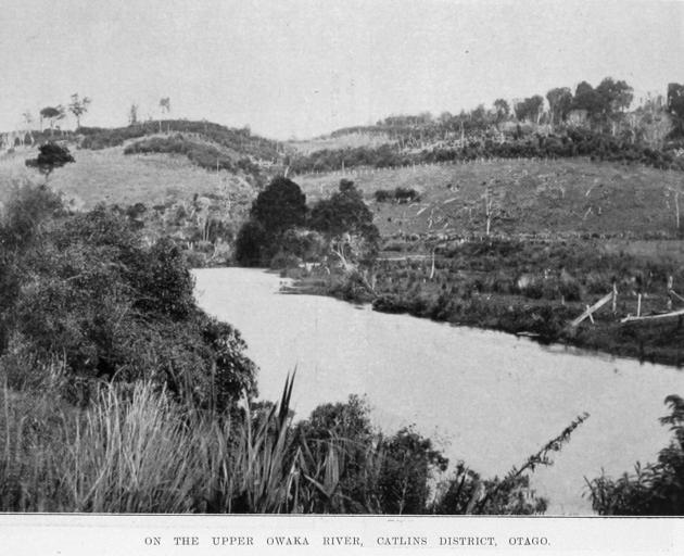 The upper Owaka River, in the Catlins district, Otago.  — Otago Witness,  26.10.1920. COPIES OF...