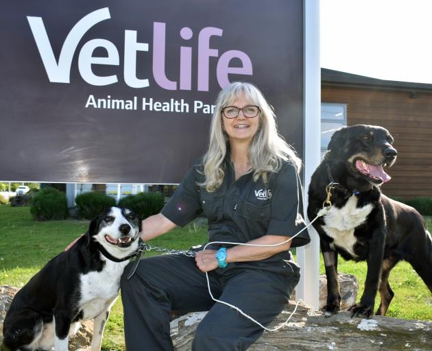 Dr Lori Linney, of Alexandra, with dogs May (left) and Patti is hoping a new study will help...