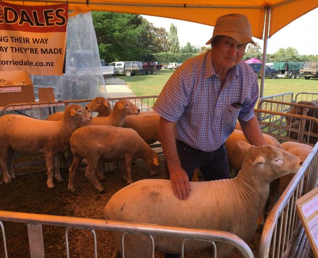 Southbridge farmer Gordon Gilbert won the New Zealand Corriedale Council’s production ewe hogget...