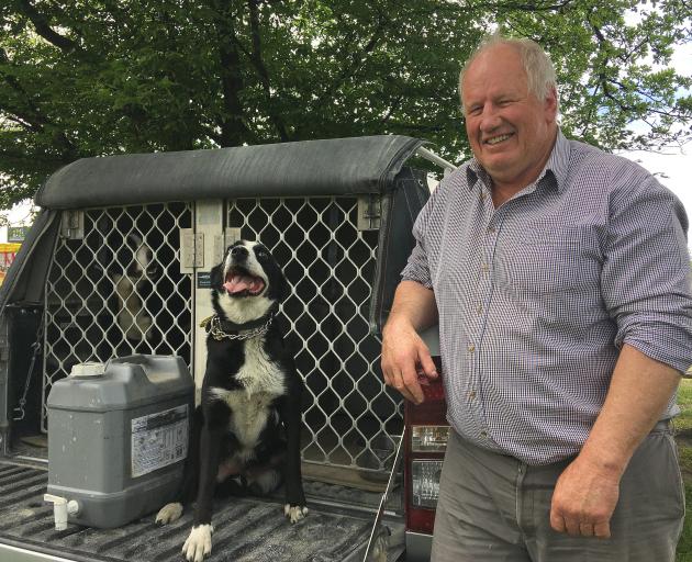 Dog trialling enthusiasts — including Sheffield farmer Kerry Pauling (pictured with Trace) —...