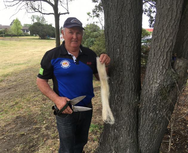Peter Casserly shows off the world record fleece length which he shore from ‘‘Gizzy Shrek’’ at...