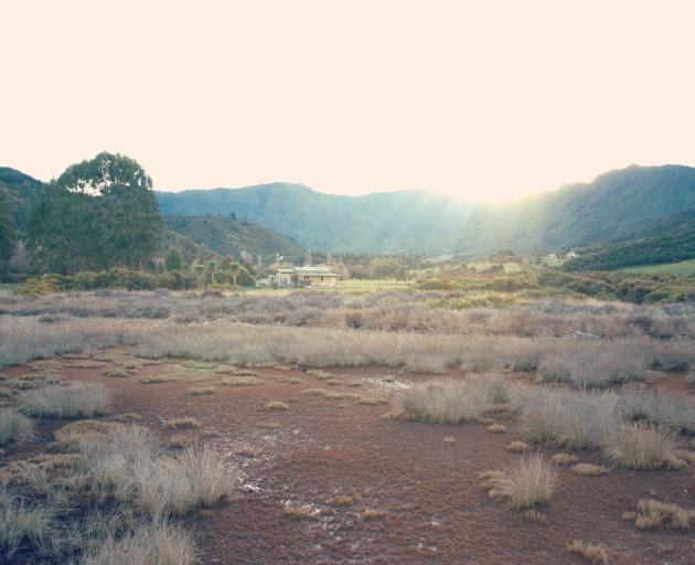 Wetlands became one of the ‘‘invisible worlds’’ covered over by the extension of grasslands...