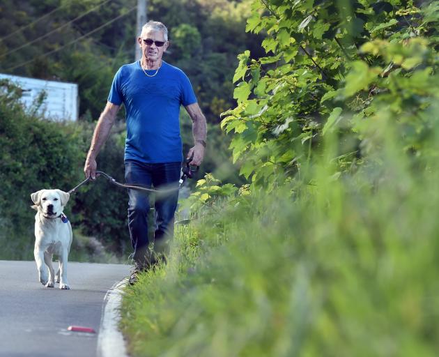 Kevin Braid and his dog Free walk on an uncut grass verge in Aramoana Rd, near Deborah Bay. PHOTO...
