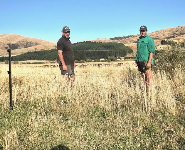 Rob Stokes (left) chats to his Lees Valley farm manager Tim Sowman. PHOTO: SUPPLIED BY ROB STOKES...