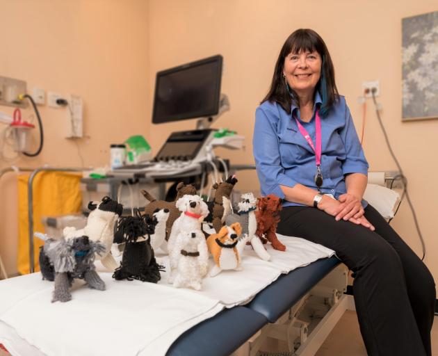 Radiographic assistant Henny van Veen has been knitting toy dogs for children having ultrasounds...